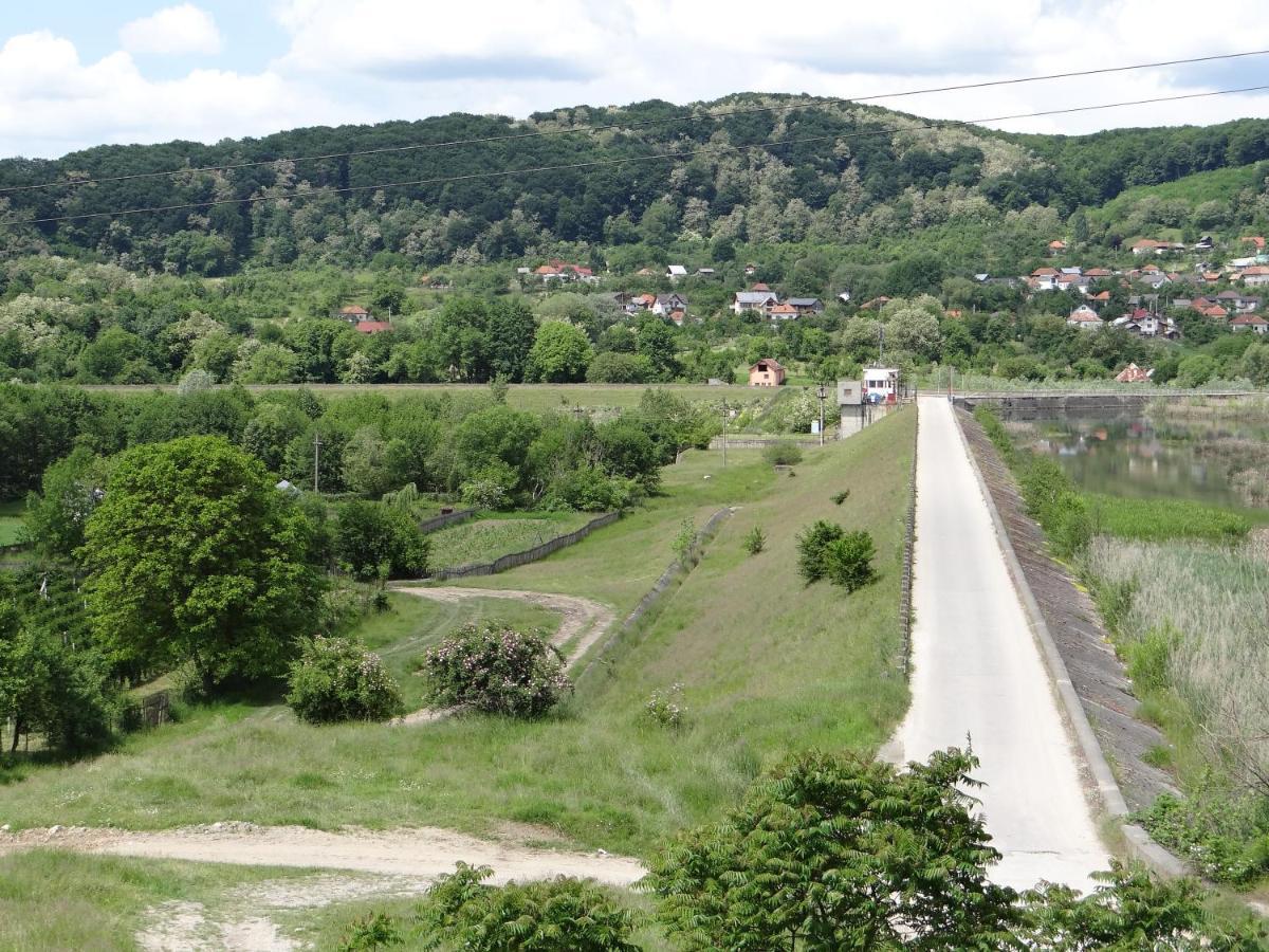 Pensiunea Lacul Albesti Albestii Paminteni Exterior foto